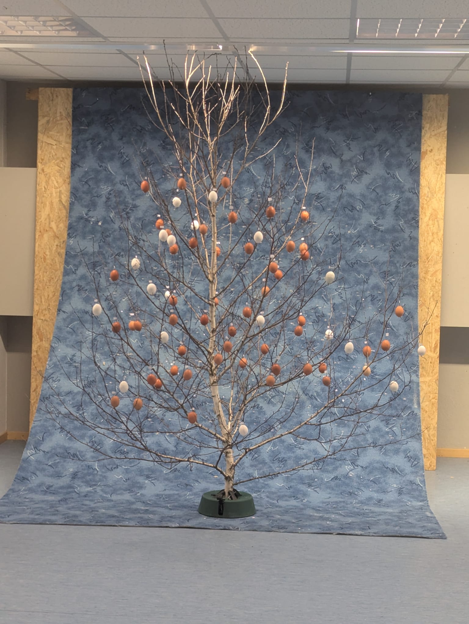 WhatsApp Image 2026-03-28 at 17.46.47 (9).jpeg